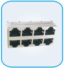  HL5202 RJ45 JACK 2X4 